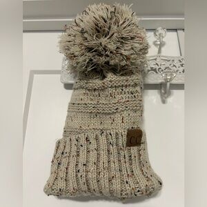 CC autumnal colors toboggan / beanie